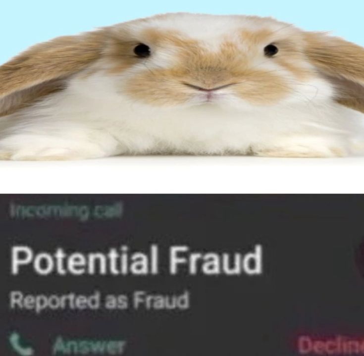 endgif